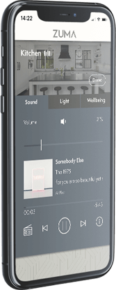 Zuma app - control the music